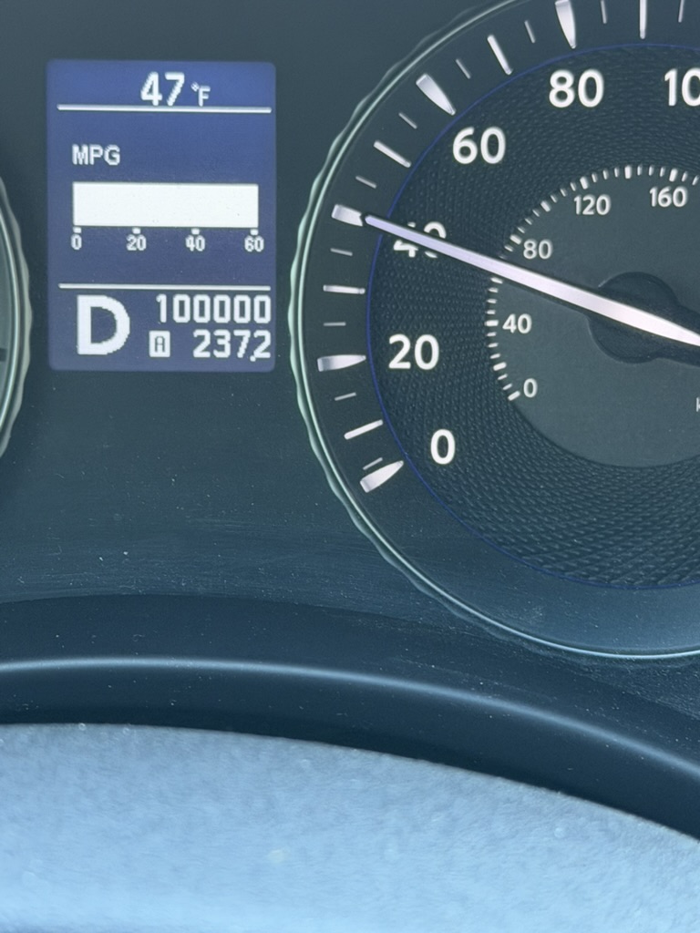 Shepherd Watcher tweet media