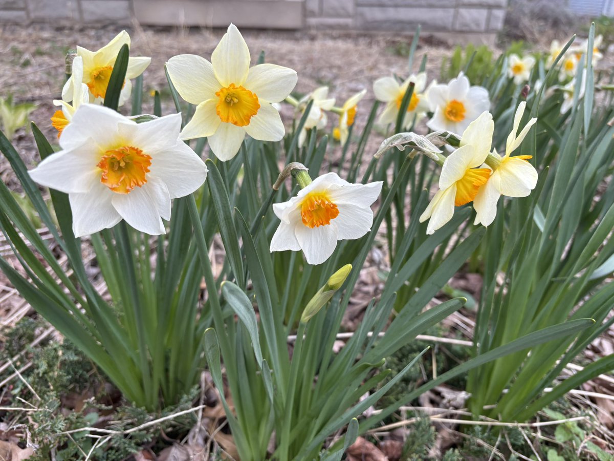 Hereafter tweet media