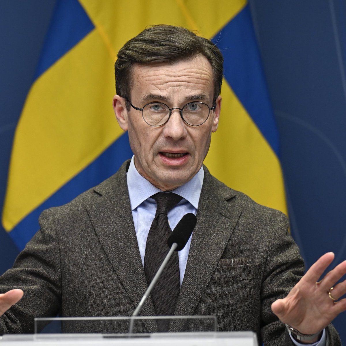 Bee Haber tweet media