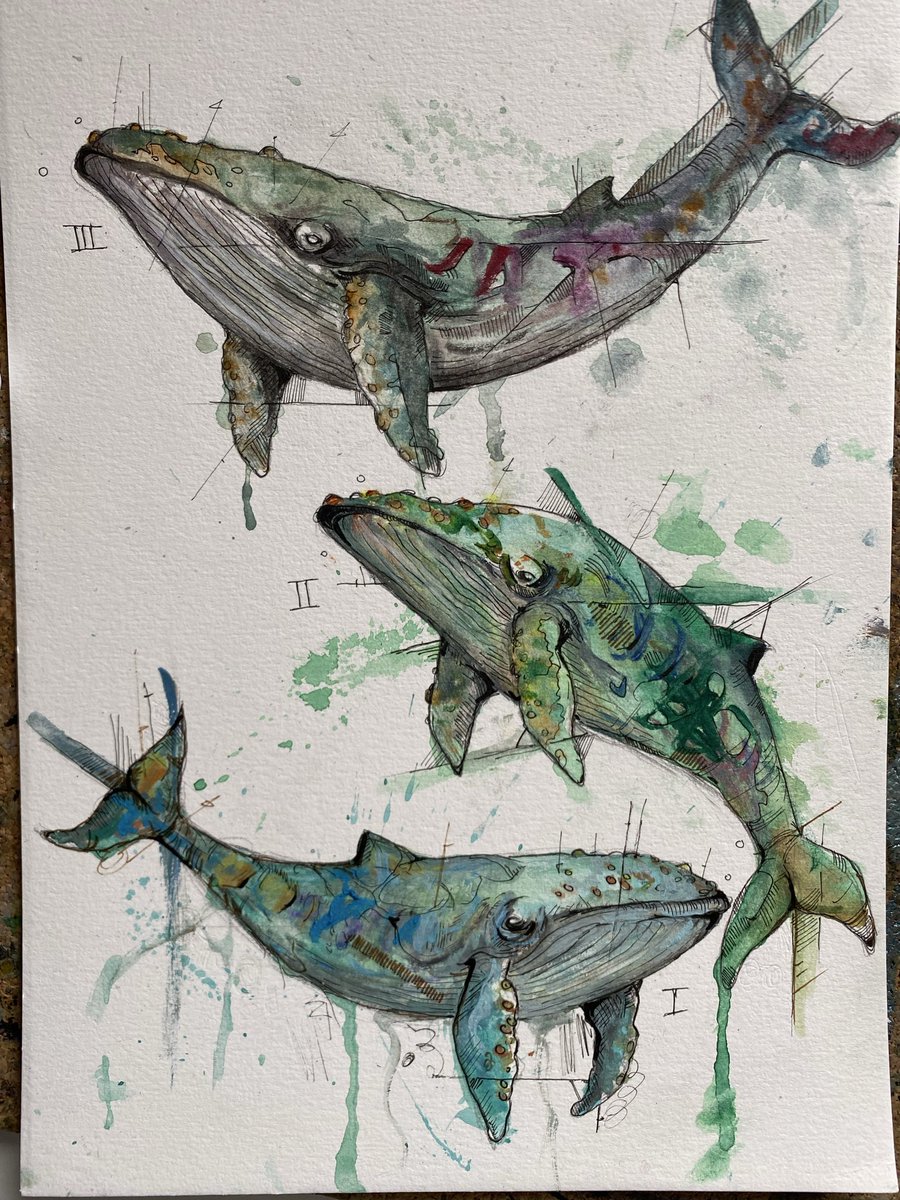 Darkesthone tweet media