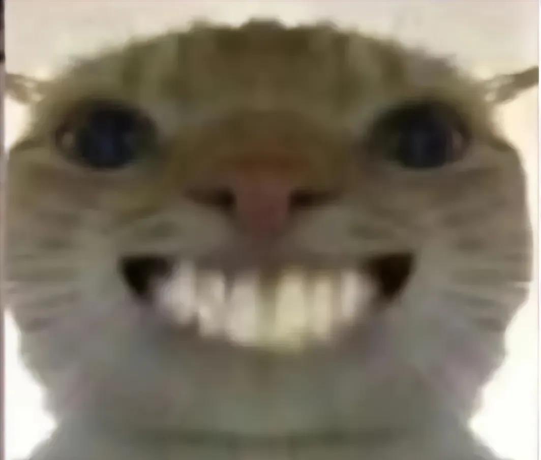 あかさ tweet media