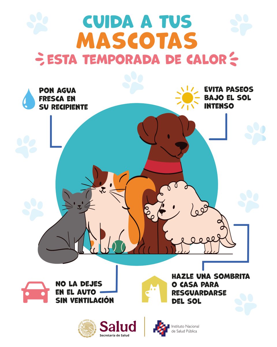 inspmx's tweet image. El calor no solo nos afecta a nosotros, también a nuestras mascotas 🐾

En temporada de calor, nuestras mascotas necesitan cuidados especiales, sigue estas recomendaciones: ☀️

#calor #mascotas