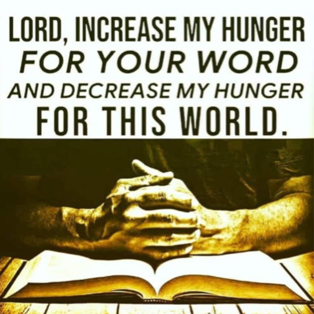 Andreas Fagerbakke tweet media