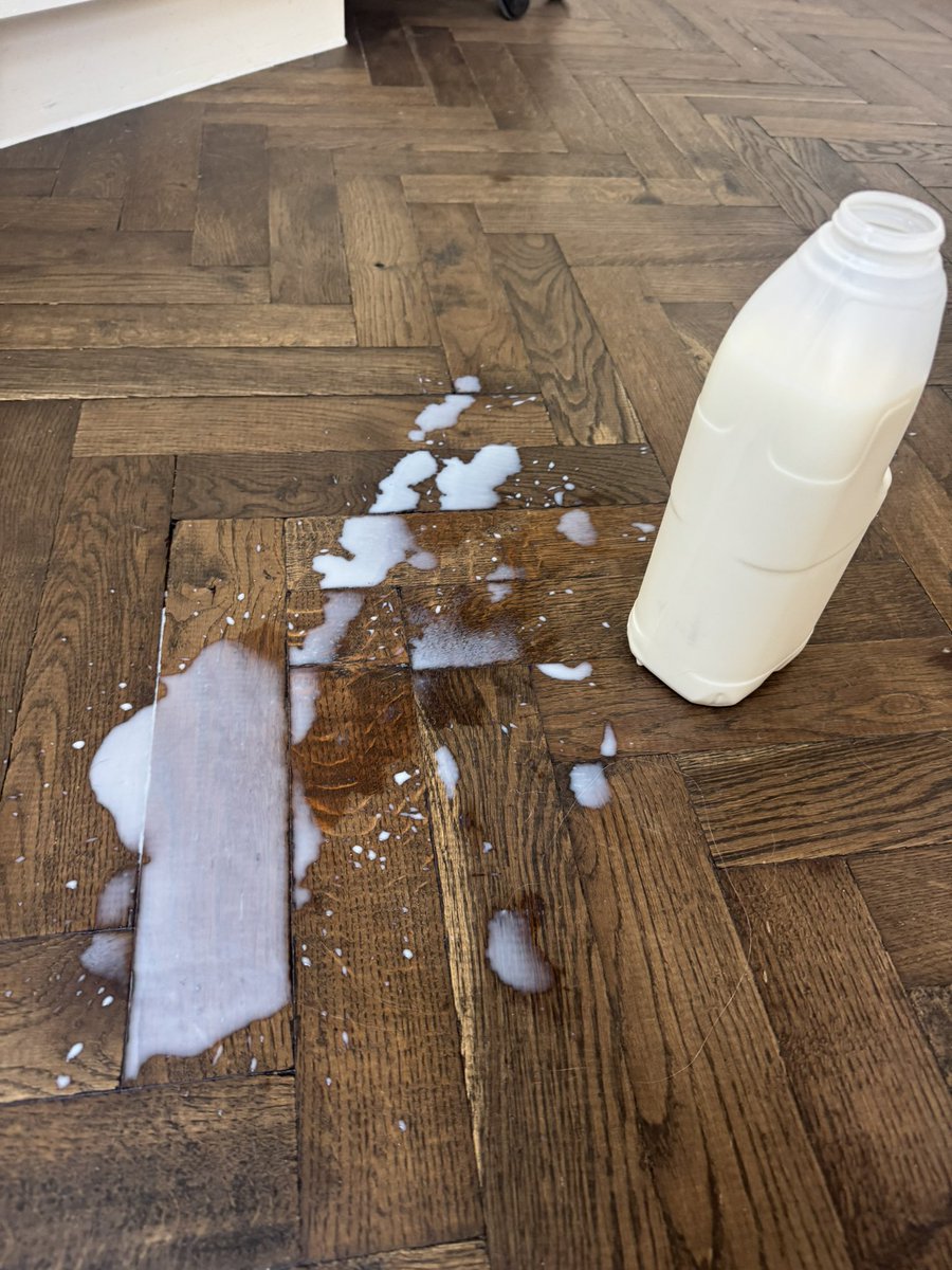 erin lecount tweet media