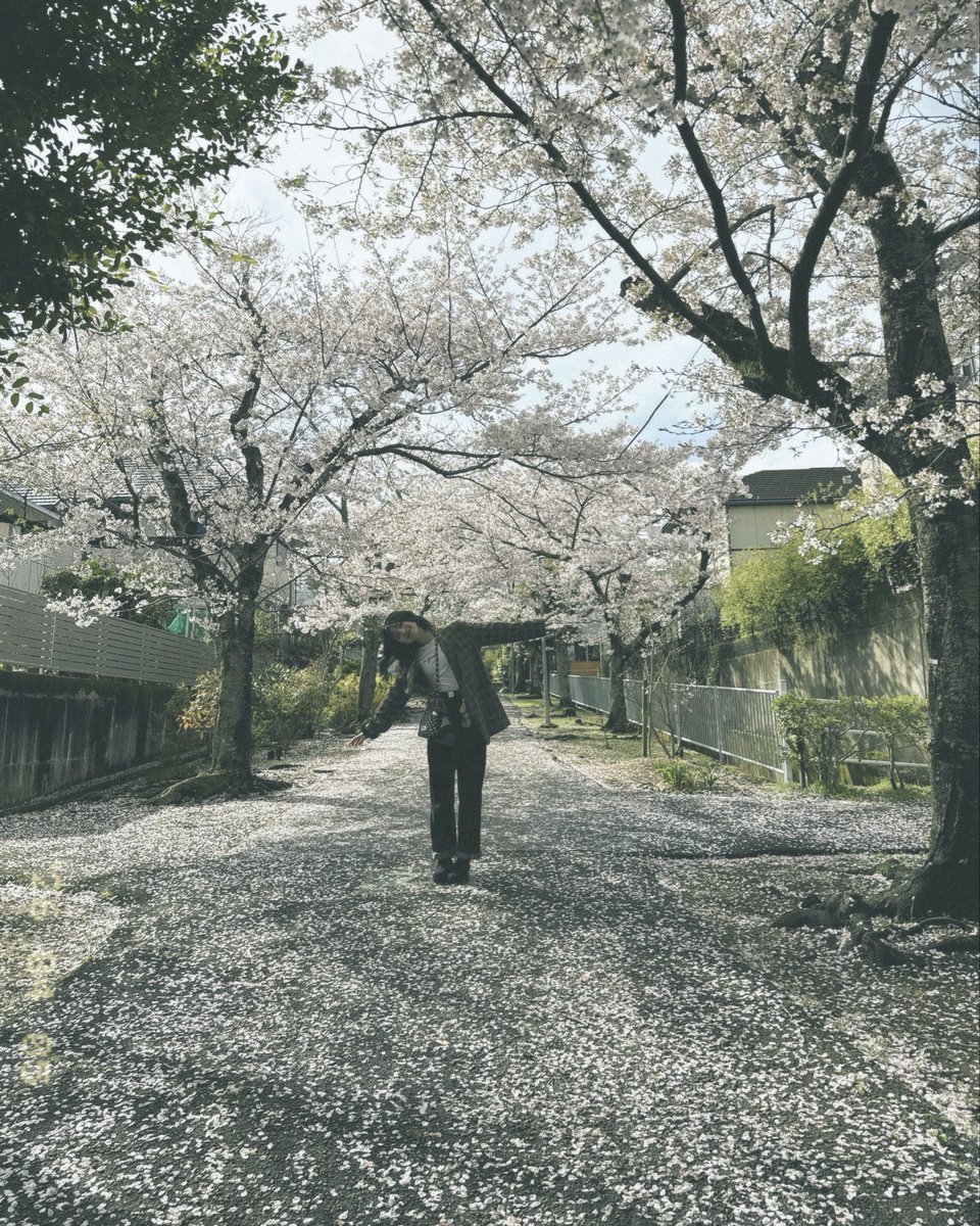 藤井愛美 / Fujii Aimi tweet media