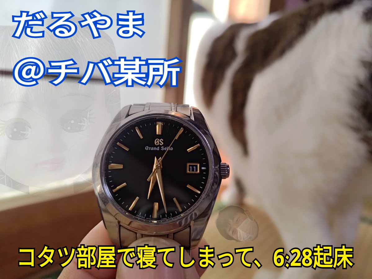 だるやま Daruyama だるお Daruo tweet media