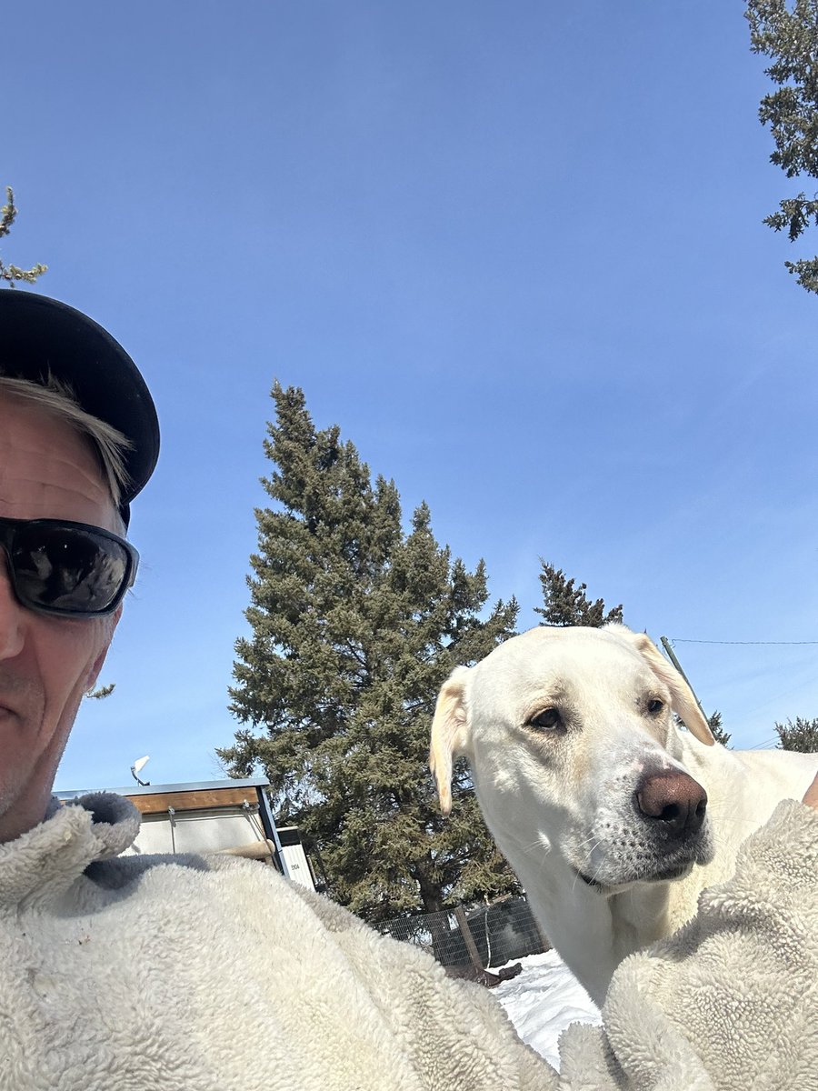 Done Dirt Cheap tweet media