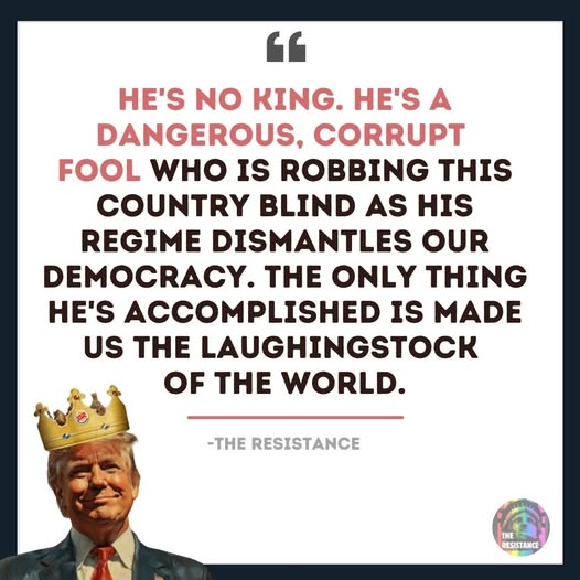 Adam 💙 🇺🇸 tweet media