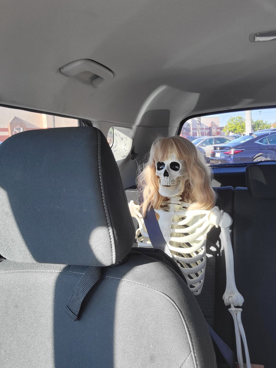 TroubleUXYZ's tweet photo. @TheGhostHost Got my guy Larry in the car with me always....he is going through his Hannah Montana era right now... https://t.co/C4tfnllGsg