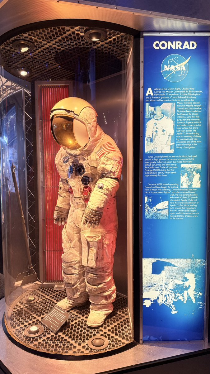 SAVA DESIGN tweet media