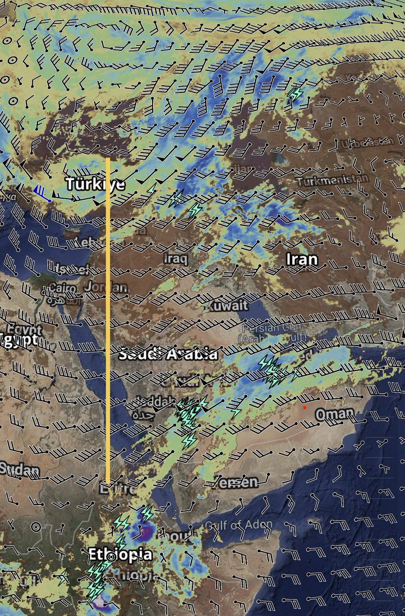 بوغيث tweet media