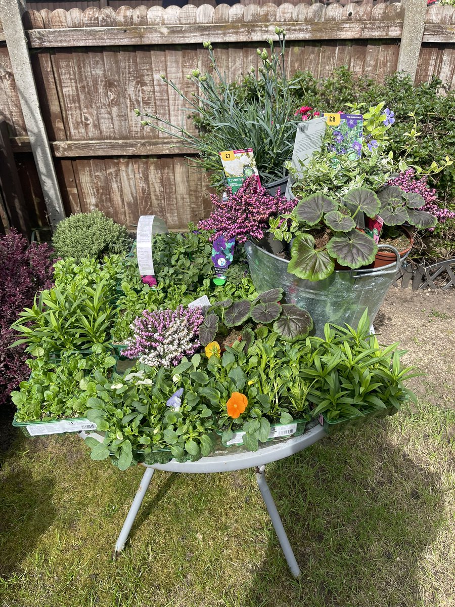 Michelle Wright tweet media