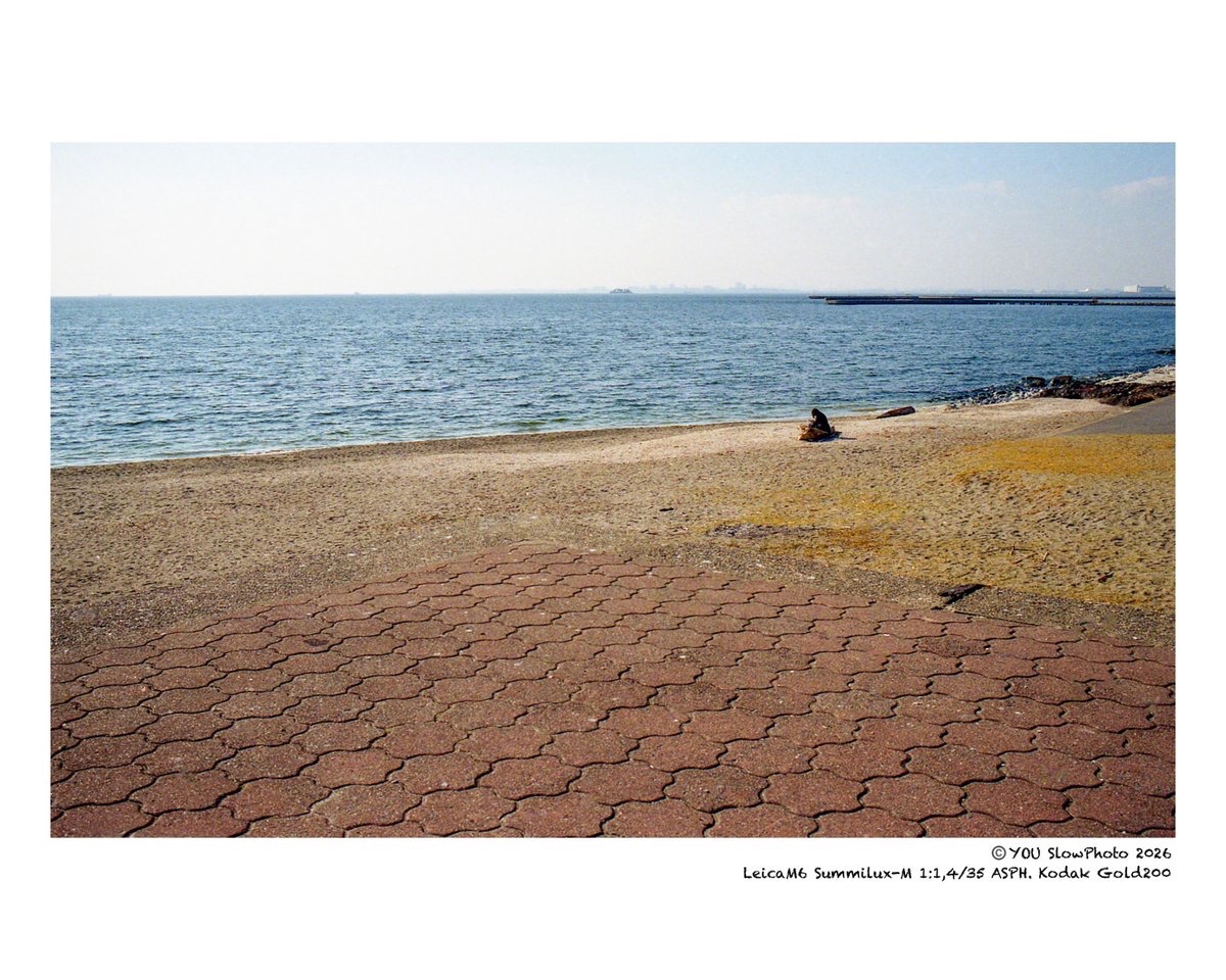 YOU_tanko's tweet image. TOKYO BAYSIDE SCENE
⛵️🛥️

#filmphotography 
#snapphotography 
#tokyobay