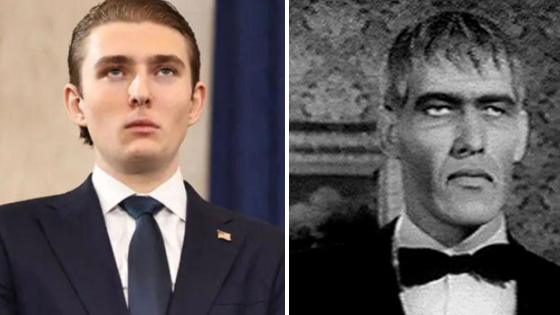 Librarian No. 5 tweet media