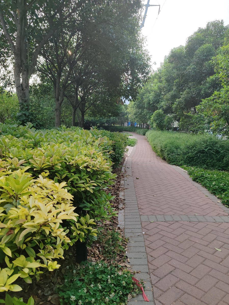 منى خالد tweet media