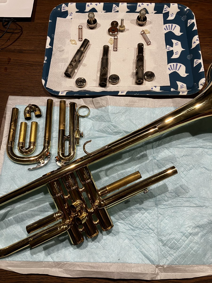 takacchi🎺🚀🥦🤟👶 tweet media