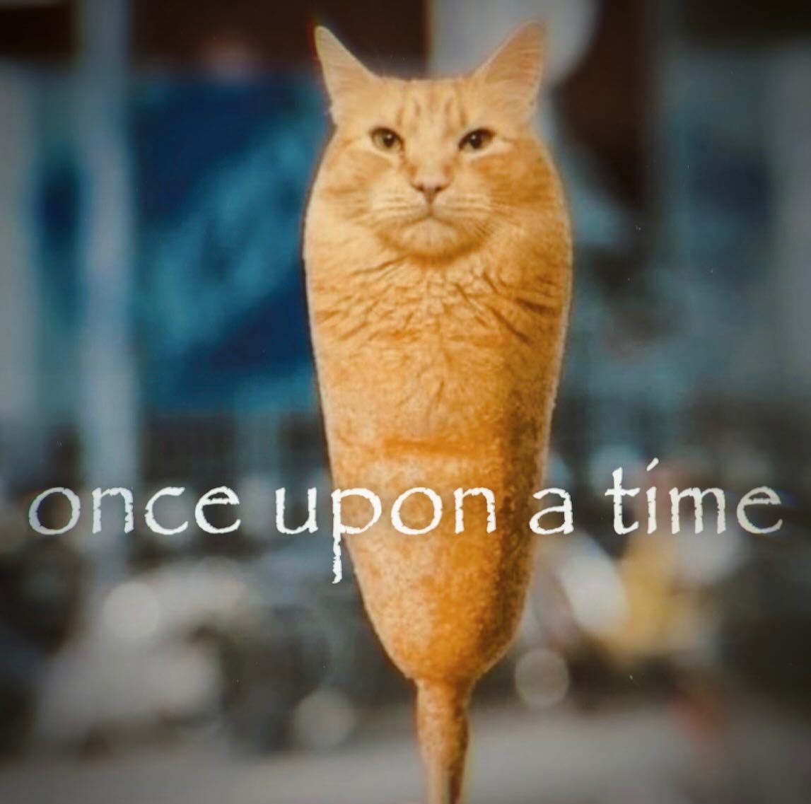 Daily Cat Posting tweet media