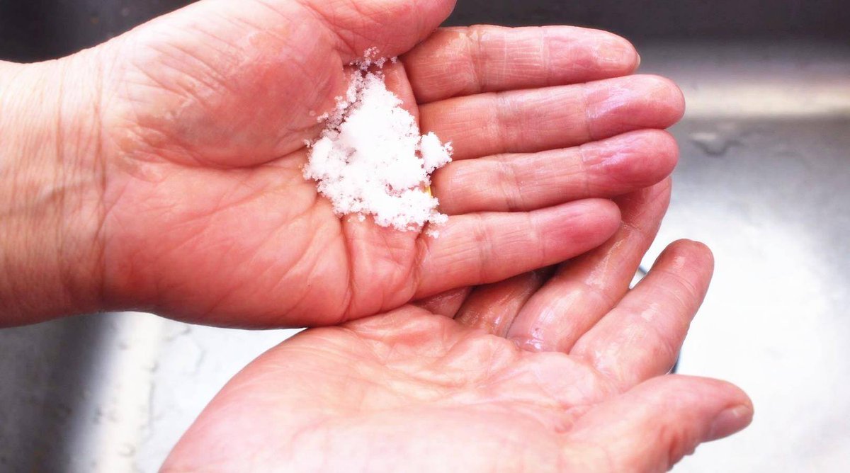 Priscila Love tweet media