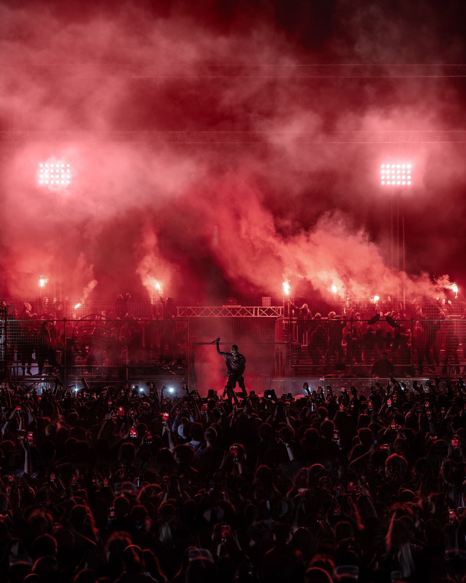 D A V I D tweet media