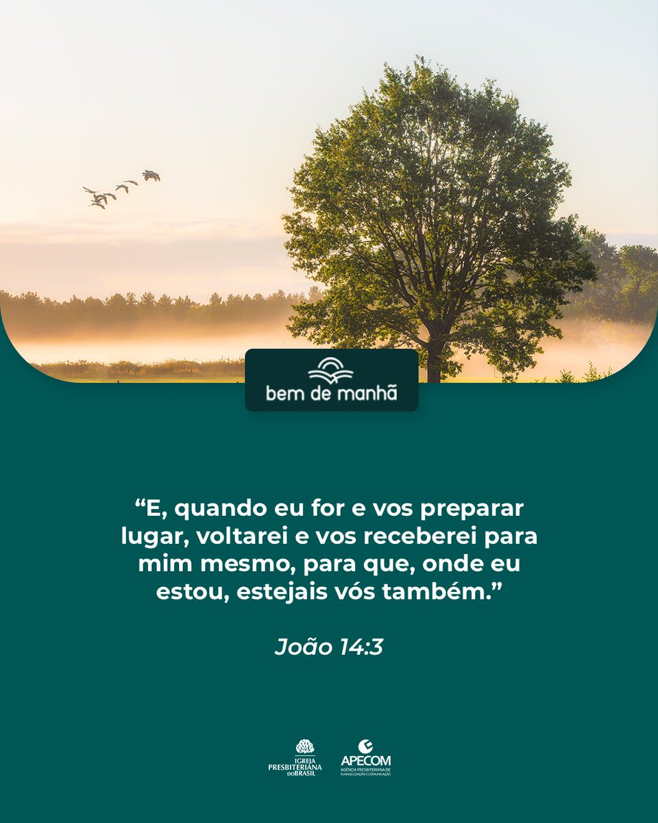 Bem de Manhã: Comece o dia meditando na sabedoria de Deus.

“E, quando eu for e vos preparar lugar, voltarei e vos receberei para mim mesmo, para que, onde eu estou, estejais vós também.”

João 14:3
