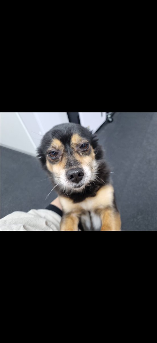 9WICE UPDATES tweet media