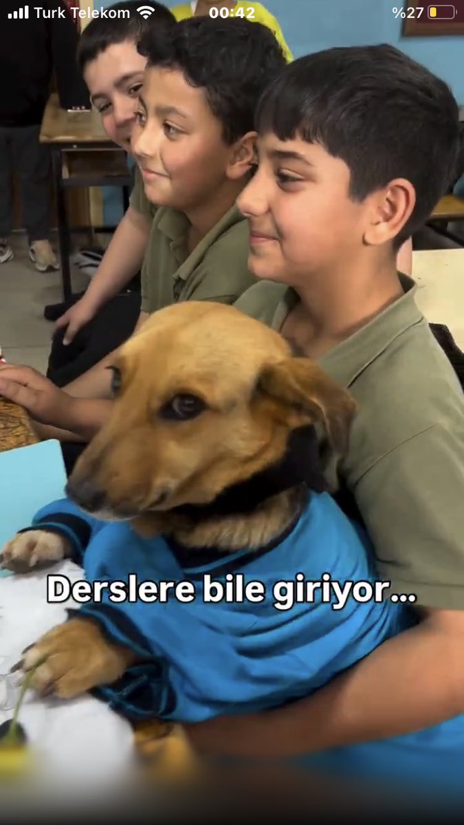 Şu kısma 150 tekrar atıp güldüm muhteşem bir video
