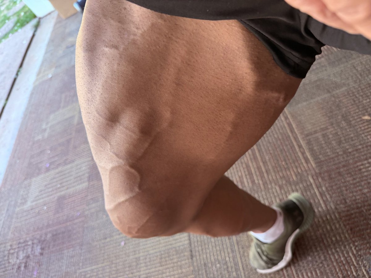 AlphaFierceDad tweet media