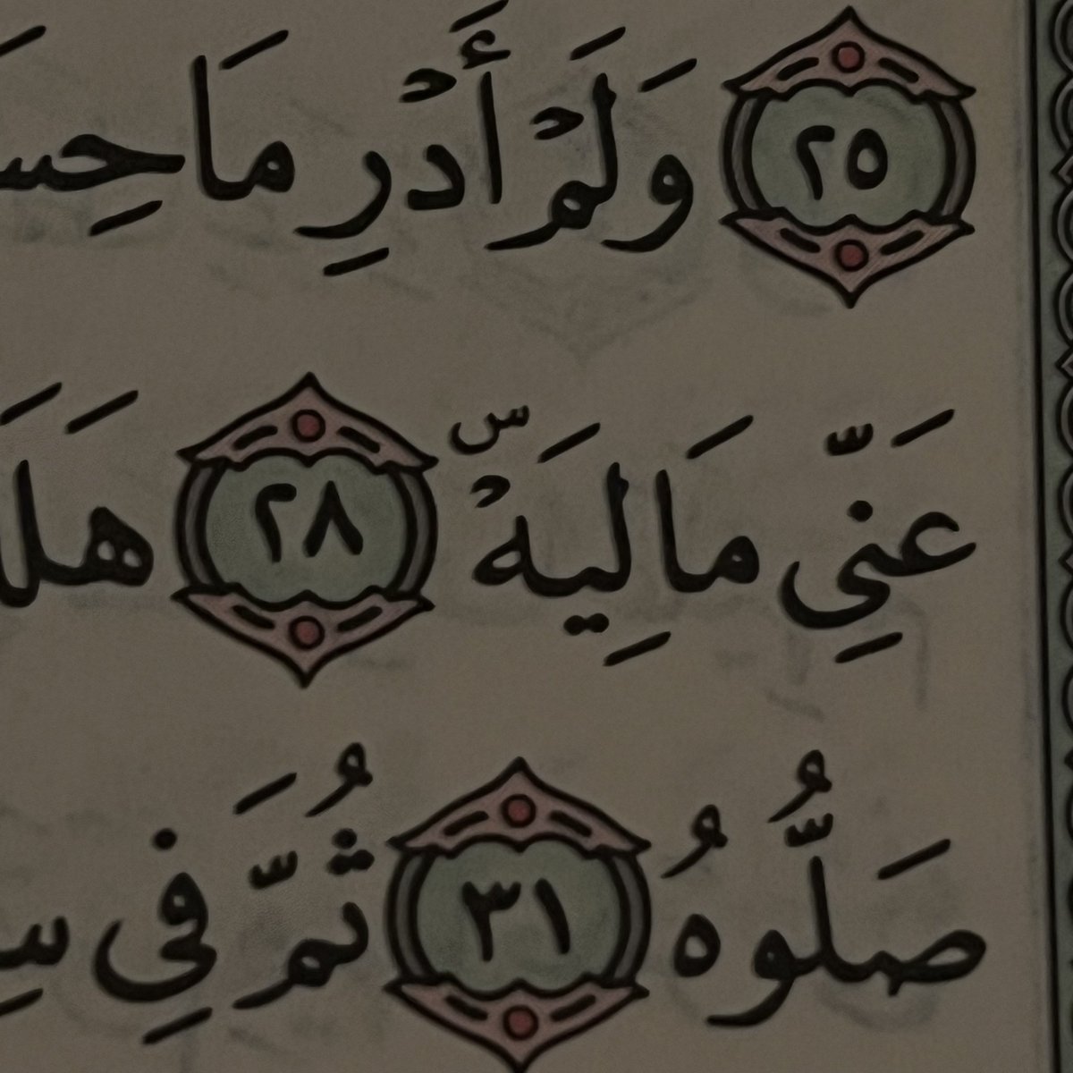 روجِدا tweet media