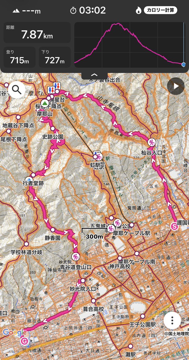 チ カ 🐯 tweet media