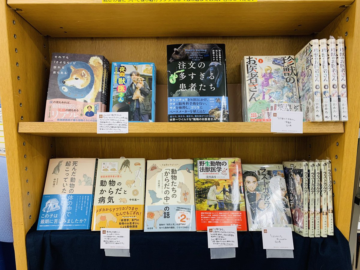 【6階自然科学】

🐱動物と向き合うお医者さんフェア🐰

犬猫からエキゾチックアニマルまで診てくれるお医者さん、動物園や水族館でのお仕事、数少ない夜間救急の現場や、法獣医学などなど…
動物にまっすぐ向き合う獣医さん。そのお仕事を深掘りして見てみませんか？

6階E04にて開催中です！ho