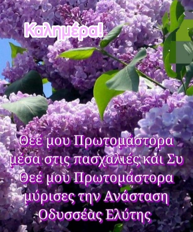 Roula (Spyridoula) Boukogianni tweet media