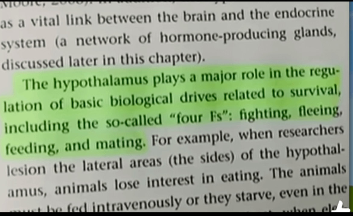 Jake Fraczek (Jake The Snake) tweet media