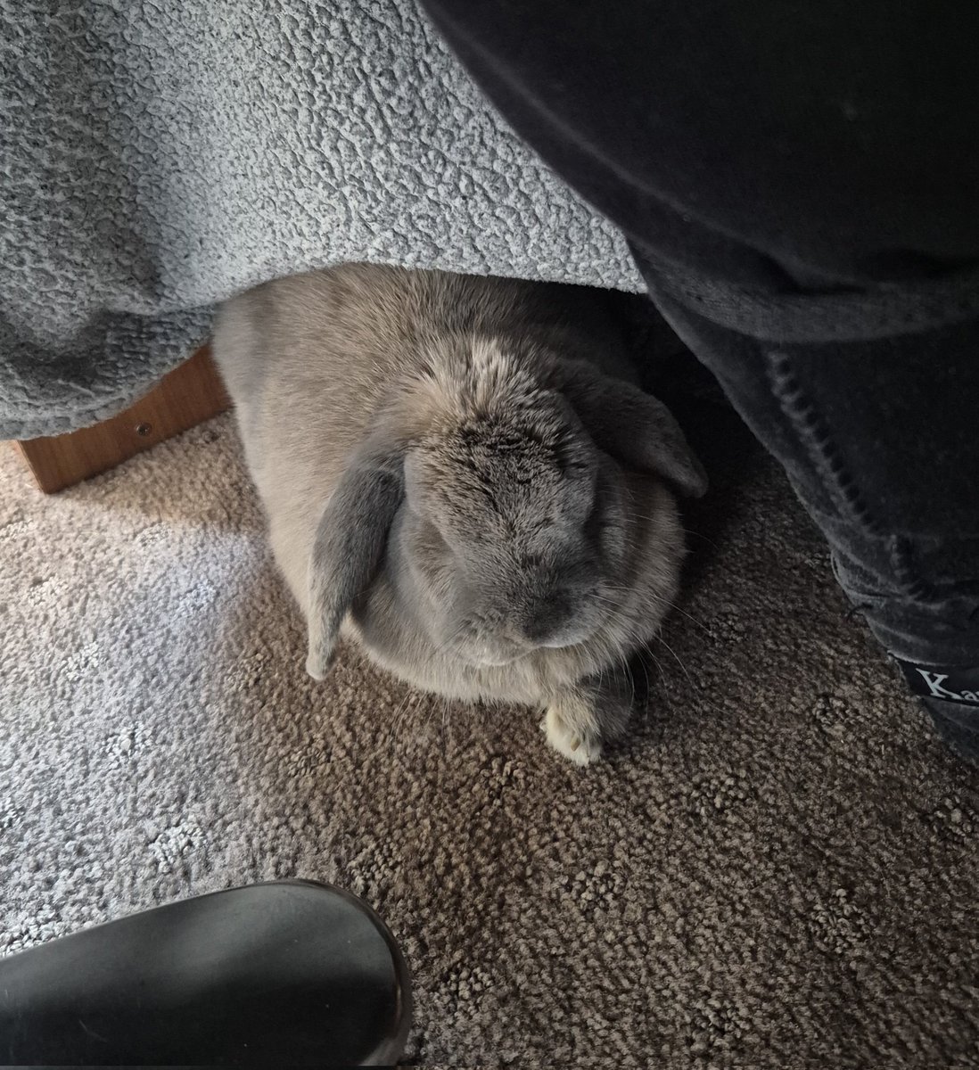 Bleak Optimism tweet media