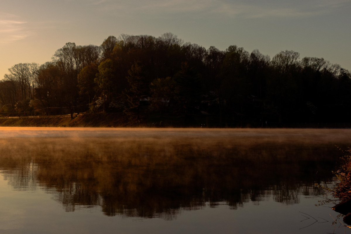 tessa ✨ tweet media