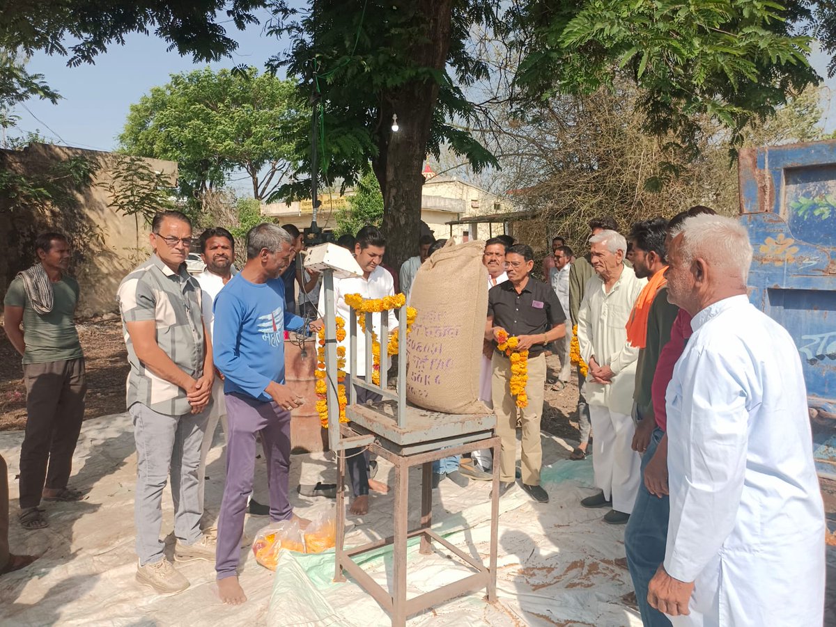 IndoreCollector's tweet image. कलेक्टर श्री शिवम वर्मा के निर्देशानुसार इंदौर जिले में समर्थन मूल्य पर गेहूं खरीदी तेज—90 केन्द्रों पर 23,390 क्विंटल उपार्जन।
RM:facebook.com/share/p/18Z7zt…

#JansamparkMP #Indore #MSP #FarmersWelfare #KisanHit #indore #इंदौर
@CMMadhyaPradesh 
@JansamparkMP 
@minmpkrishi