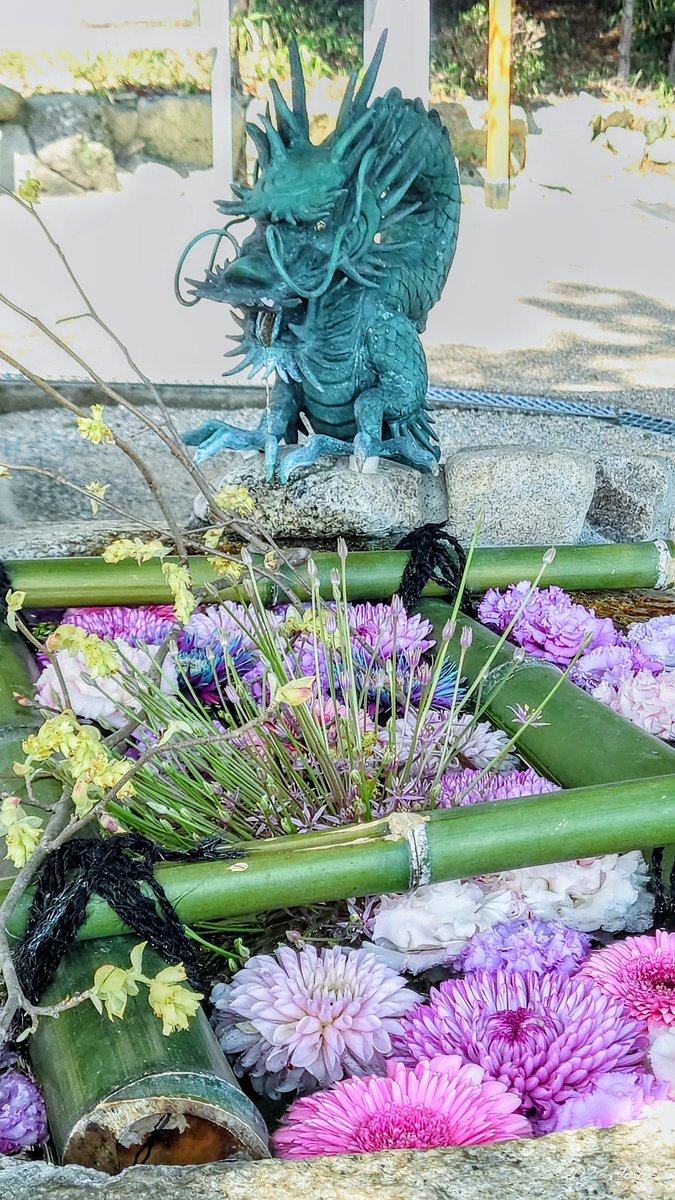 JccL(いいねRT消える不具合あり) tweet media