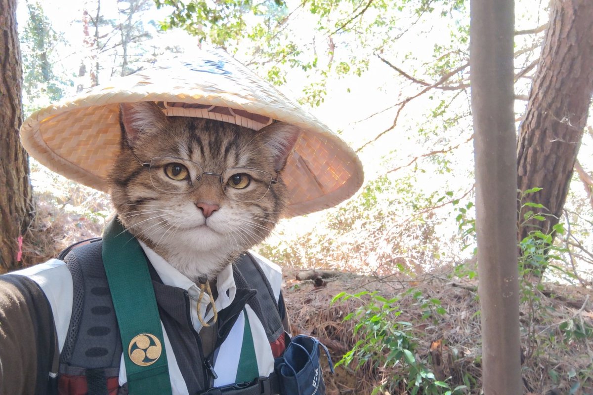 今日は雲辺寺から観音寺まで歩き遍路中
風が気持ち良い