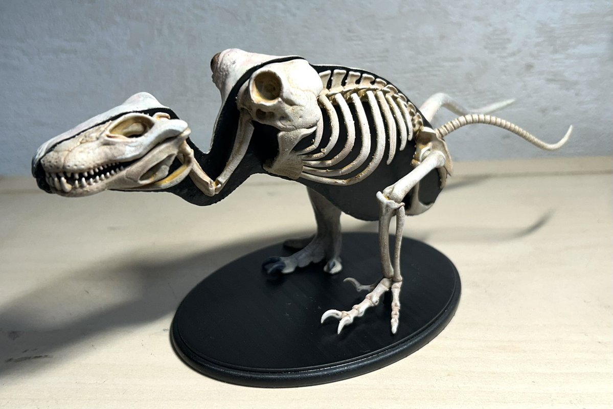 nao70shark tweet media