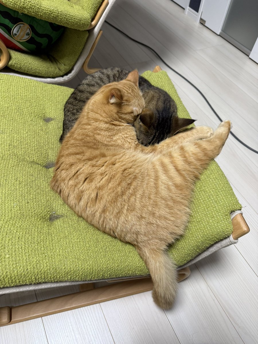 すずロー tweet media