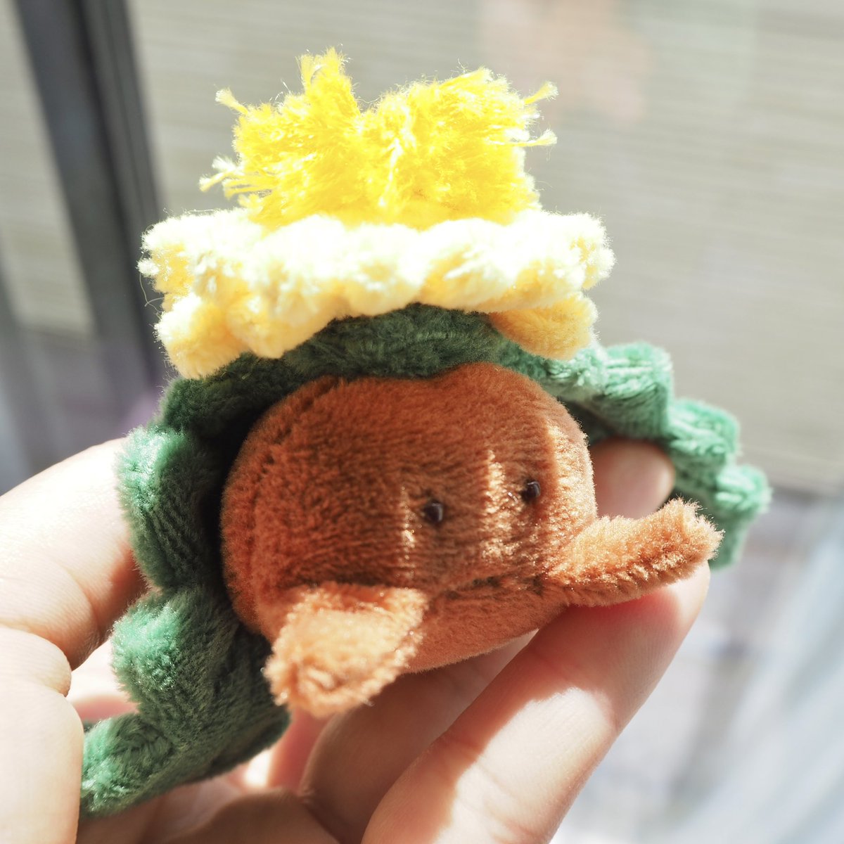 ギャラリー実のぬいぐるみ🧵 tweet media