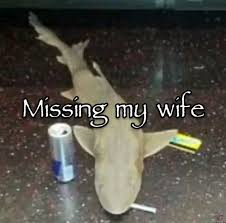 Y Dᴅʀᴀɪɢ Gᴏᴄʜ tweet media