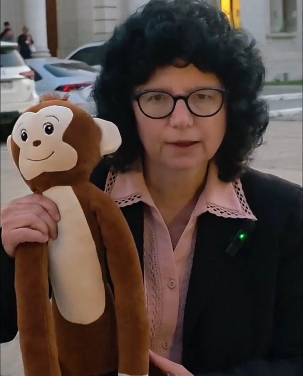 QUÉ HACE PATRICIA BULLRICH CON EL MONITO DE PUNCH?