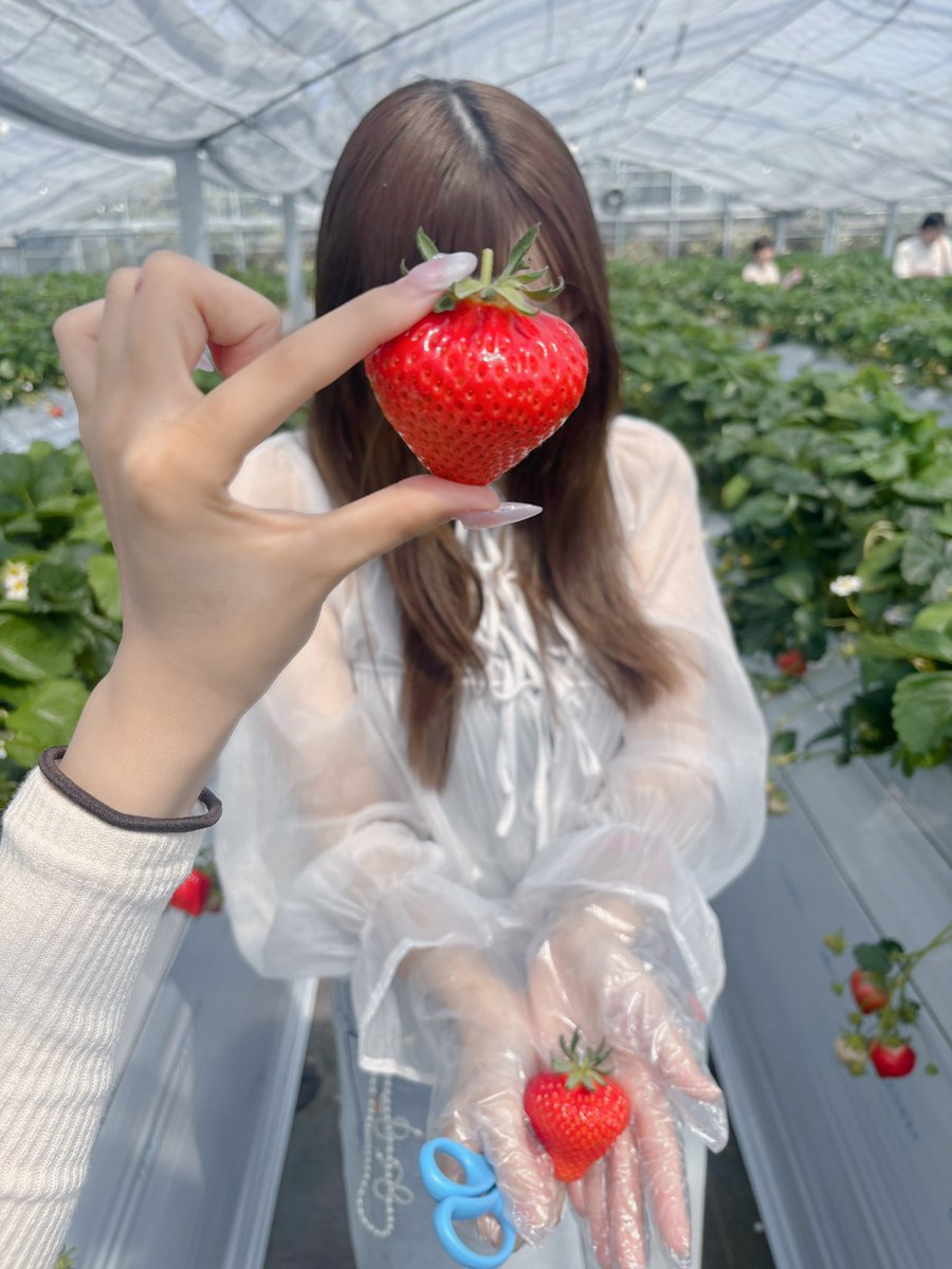 さくらもち tweet media