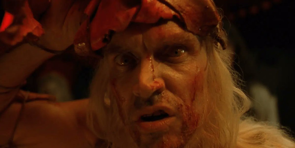 screams 🔪 @FTLOH tweet media