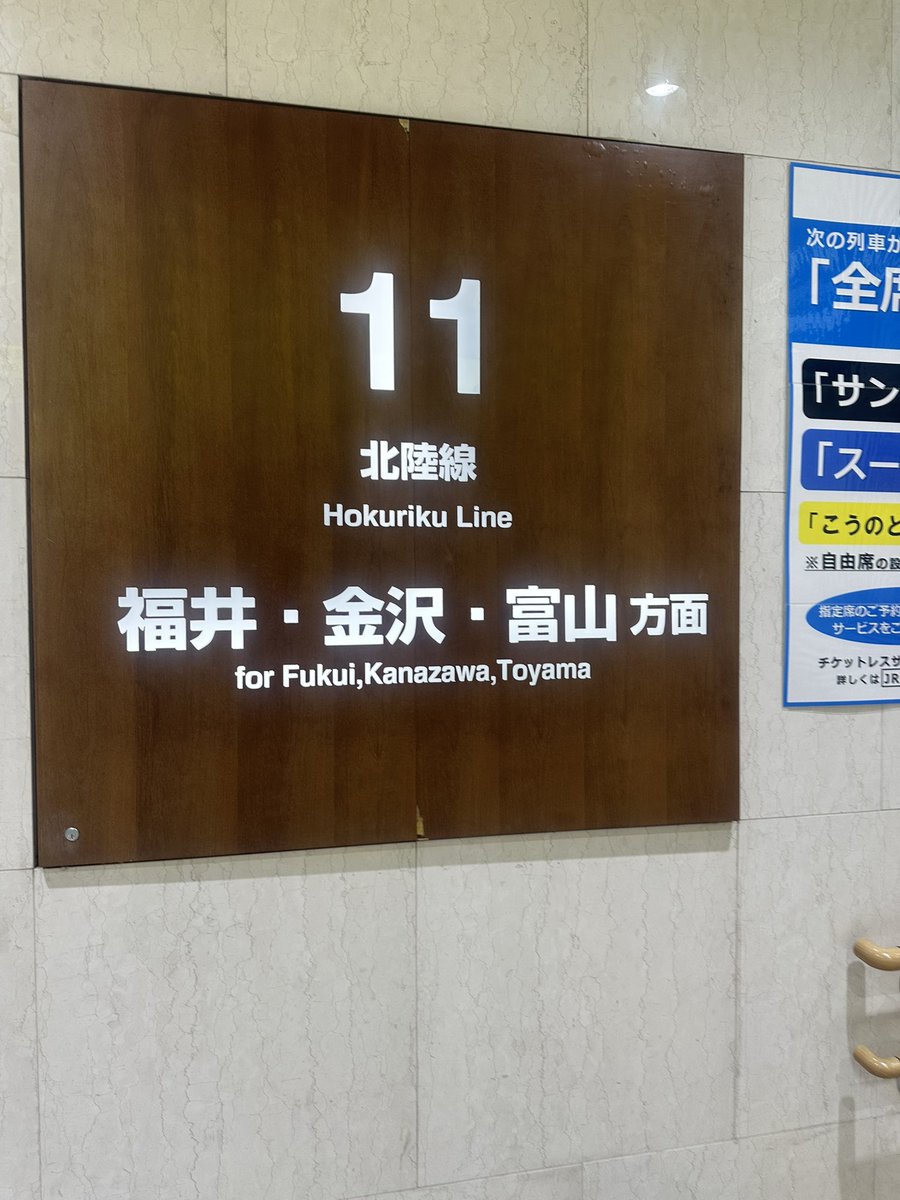 まいこ tweet media