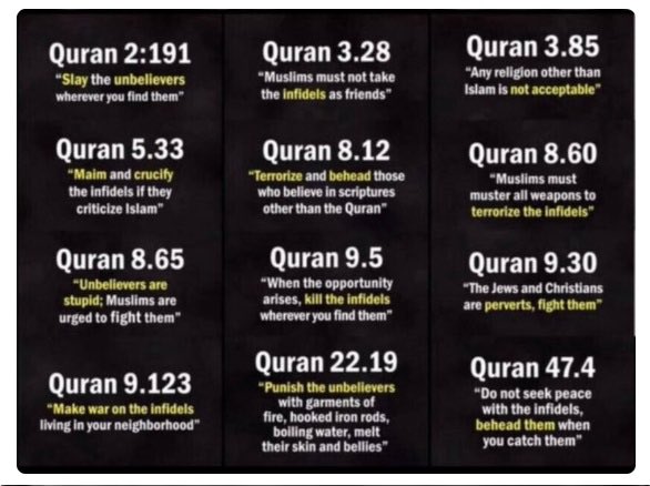 David M Delia tweet media