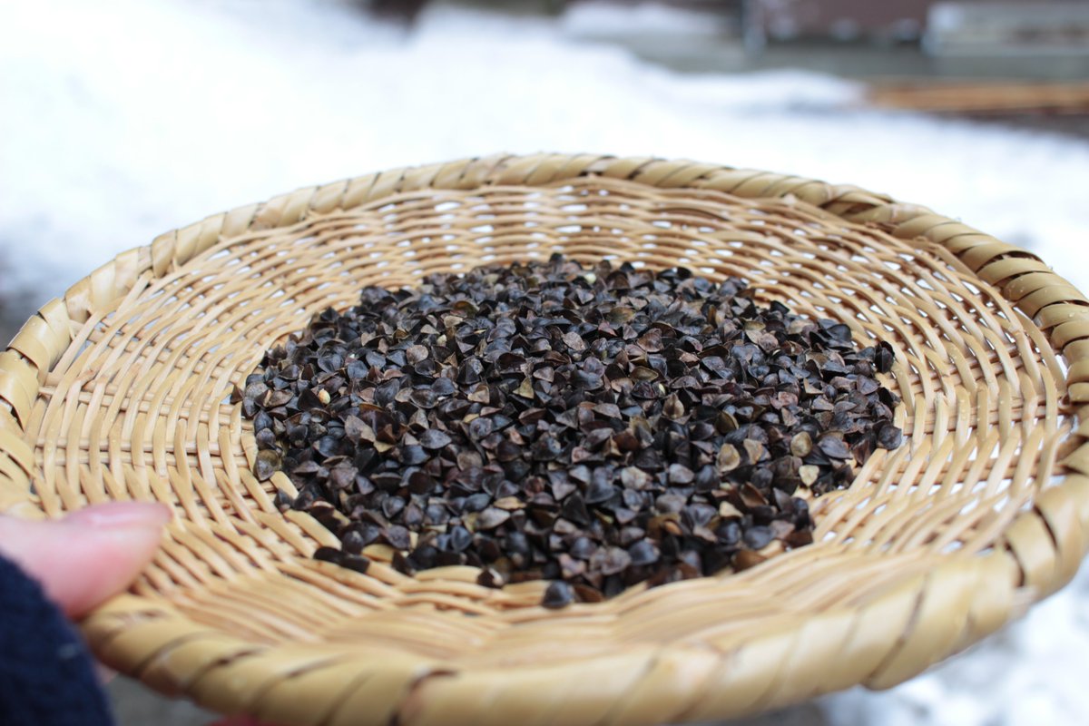 戸隠観光協会 tweet media