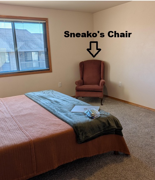 Ryan Dawson tweet media