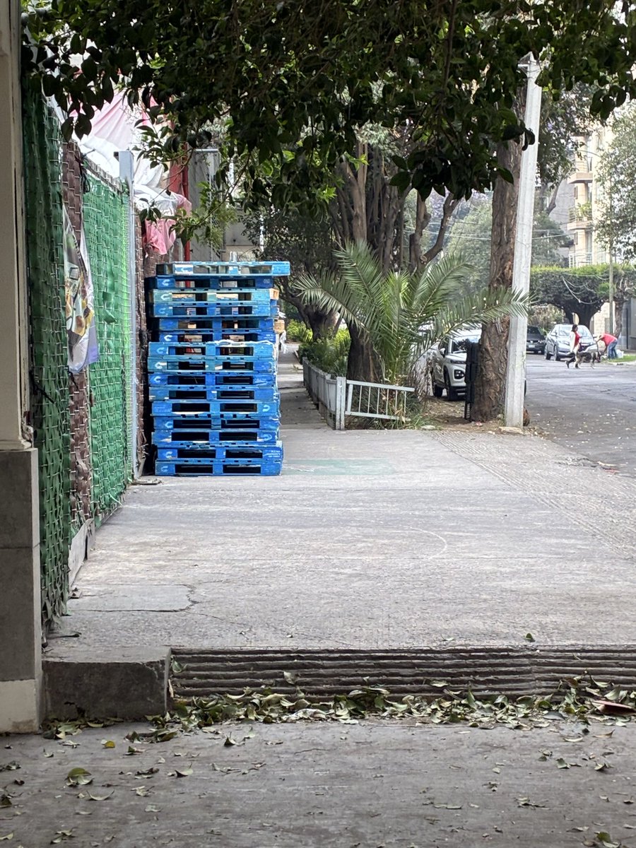 Alejandro tweet media