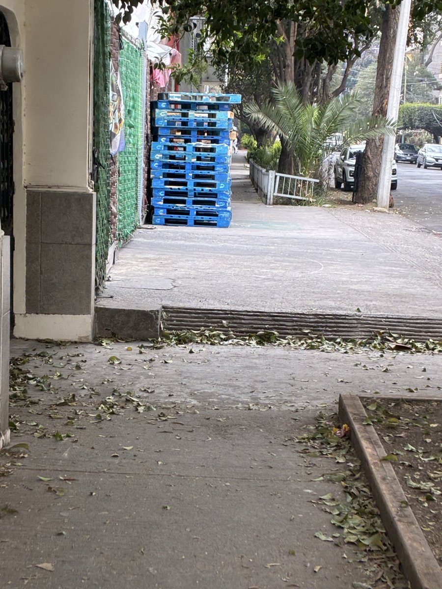 Alejandro tweet media